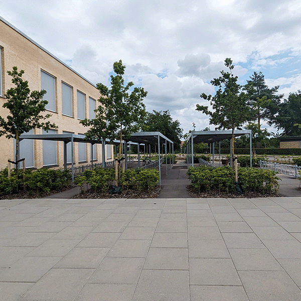 Horsens Gymnasium og HF med 686 cykelparkeringspladser